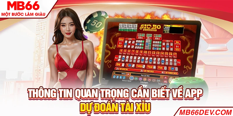 Thông tin quan trọng cần biết về app dự đoán Tài Xỉu 