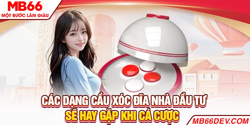 Các dạng cầu xóc đĩa