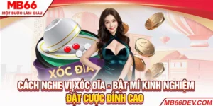 Cách nghe vị xóc đĩa