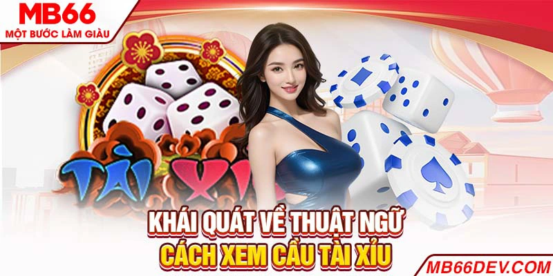 Khái quát về thuật ngữ cách xem cầu Tài Xỉu