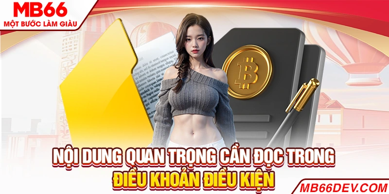 Nội dung quan trọng cần đọc trong Điều khoản Điều kiện