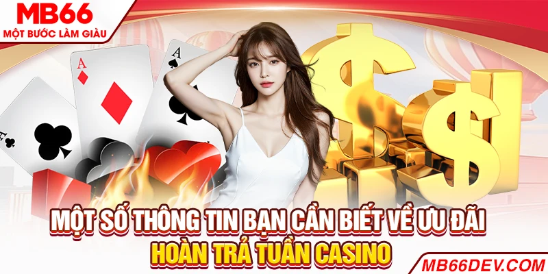 Một số thông tin bạn cần biết về ưu đãi hoàn trả tuần Casino