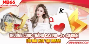 Thưởng cược thắng casino